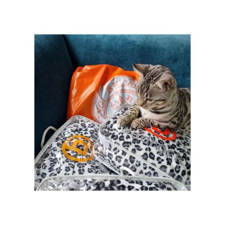 Badjassen met een gevaarlijke look