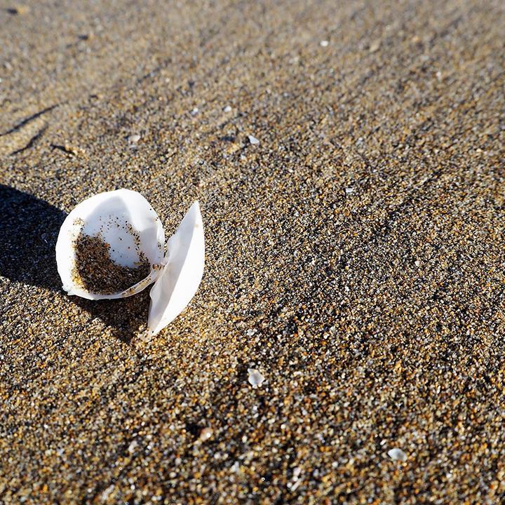 zomer strandvakantie