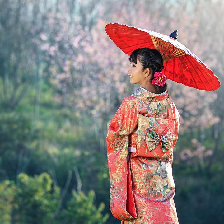 ernstig Attent zoogdier Kimono's in Japan